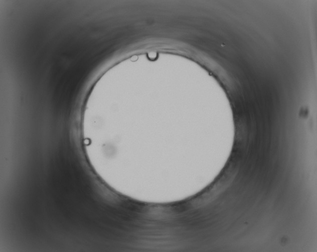 X0000103901520200809191043