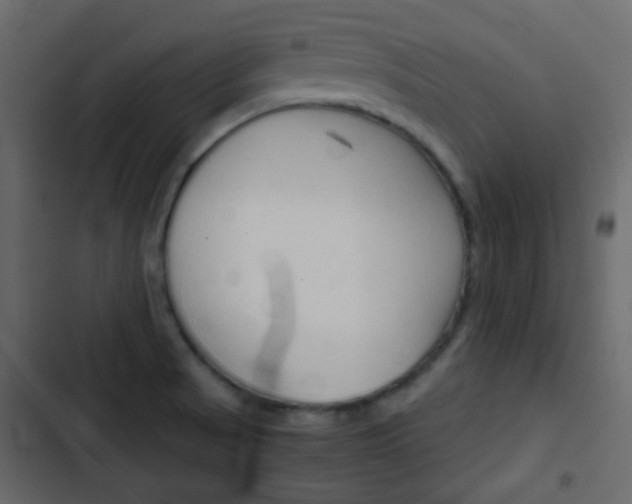 X0000103901521200809191043