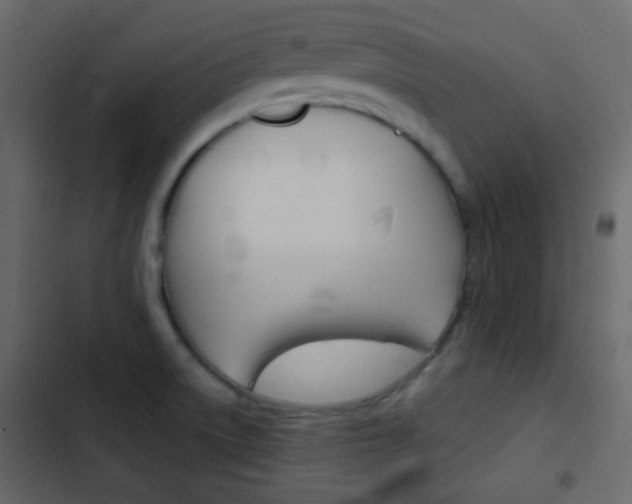X0000103901522200809191043