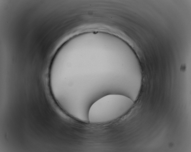 X0000103901523200809191043