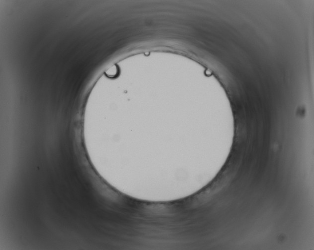 X0000103901524200809191043