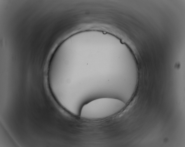 X0000103901525200809191043