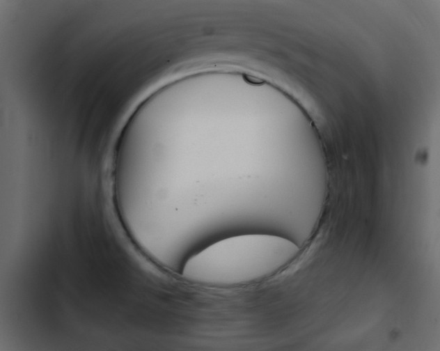 X0000103901526200809191043