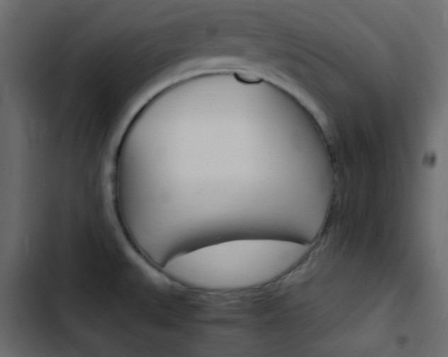 X0000103901527200809191043