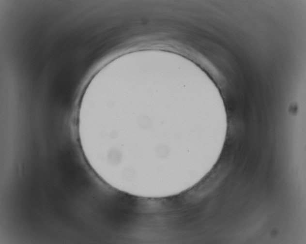 X0000103901528200809191043