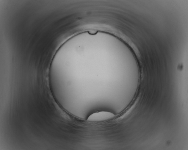 X0000103901529200809191043