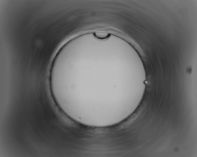 X0000103901530200809191043