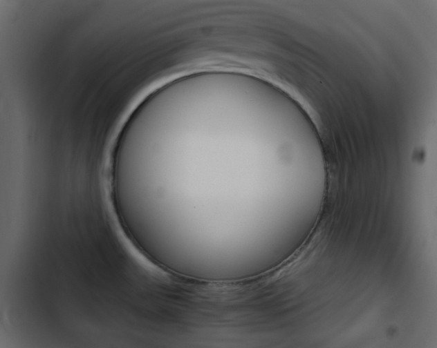 X0000103901531200809191043