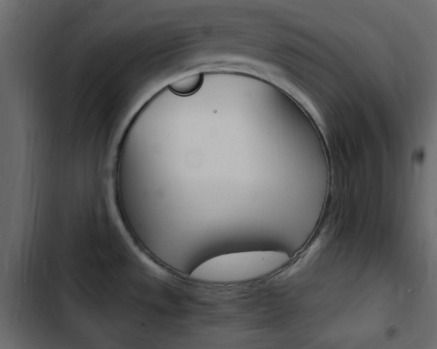 X0000103901533200809191043