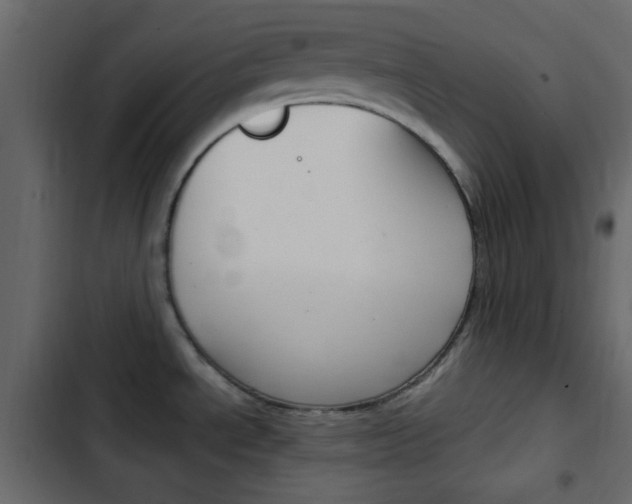 X0000103901534200809191044