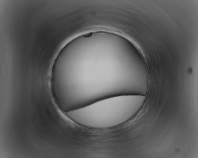 X0000103901535200809191044