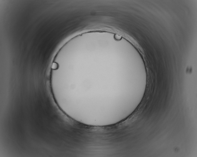 X0000103901536200809191044