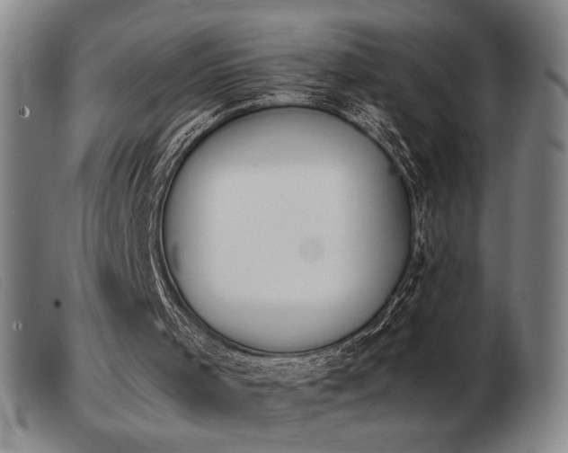 X0000103900001200809191249