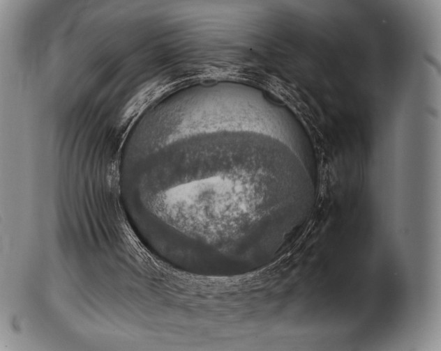 X0000103900002200809191249