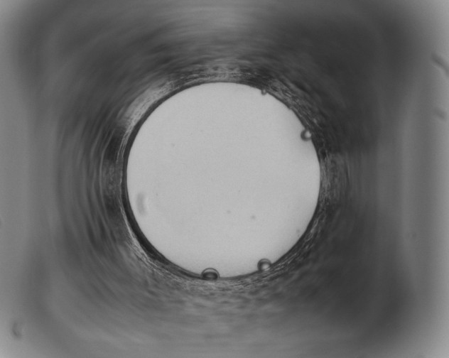 X0000103900003200809191249