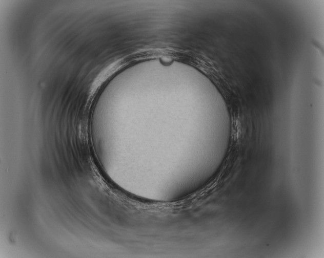 X0000103900004200809191249
