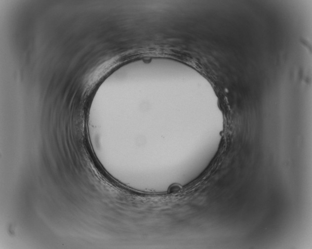 X0000103900005200809191249