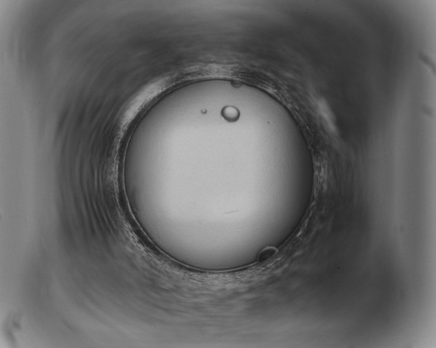 X0000103900006200809191249