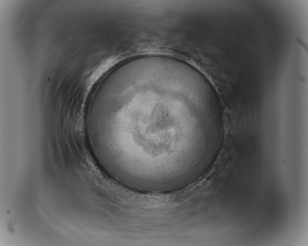 X0000103900008200809191249