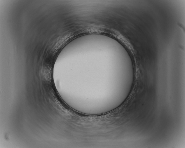 X0000103900009200809191249