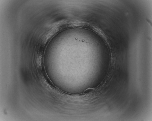 X0000103900010200809191249