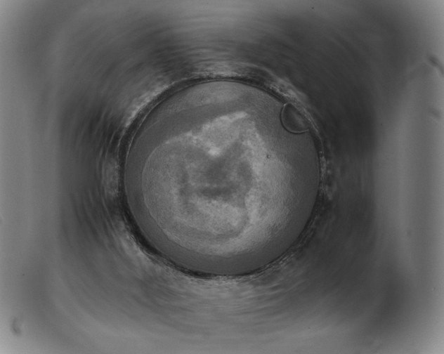 X0000103900012200809191249