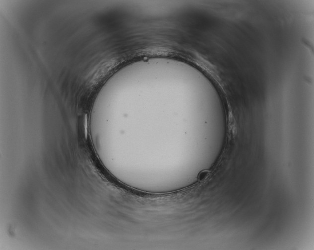 X0000103900013200809191249