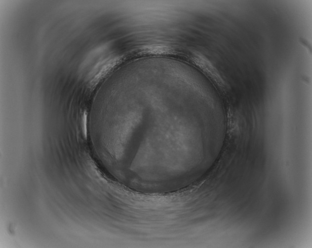 X0000103900014200809191249