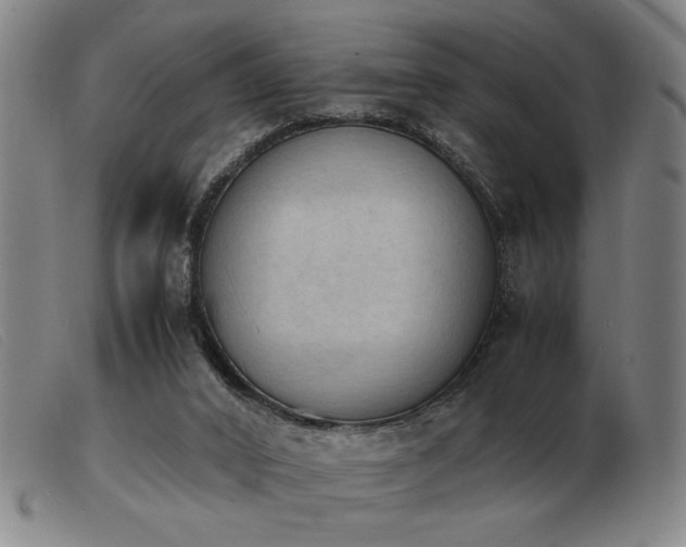 X0000103900016200809191249