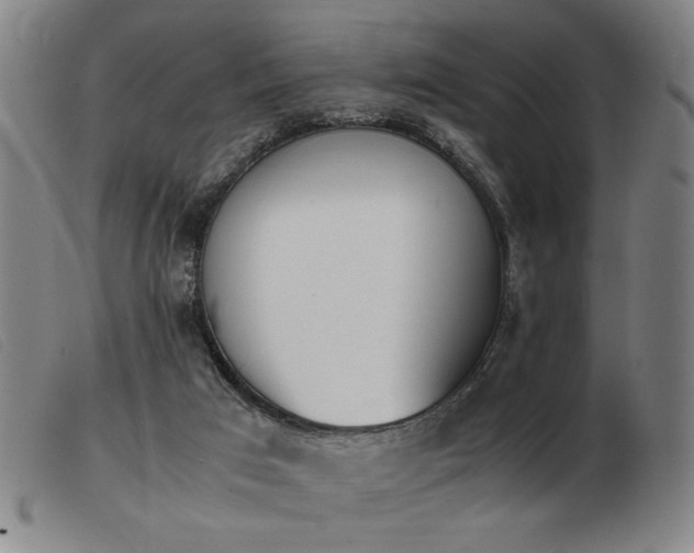 X0000103900017200809191249