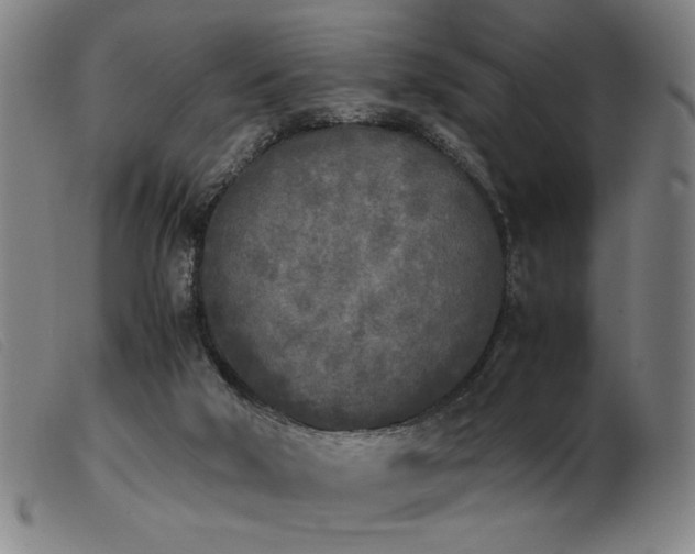 X0000103900018200809191249