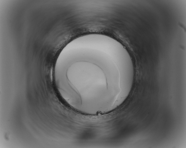 X0000103900019200809191249