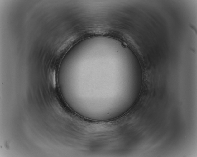 X0000103900020200809191249