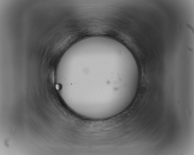 X0000103900021200809191249