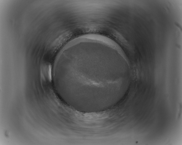 X0000103900022200809191249