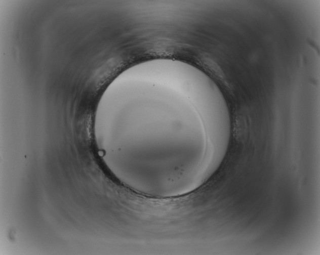 X0000103900023200809191249