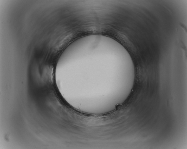 X0000103900024200809191249