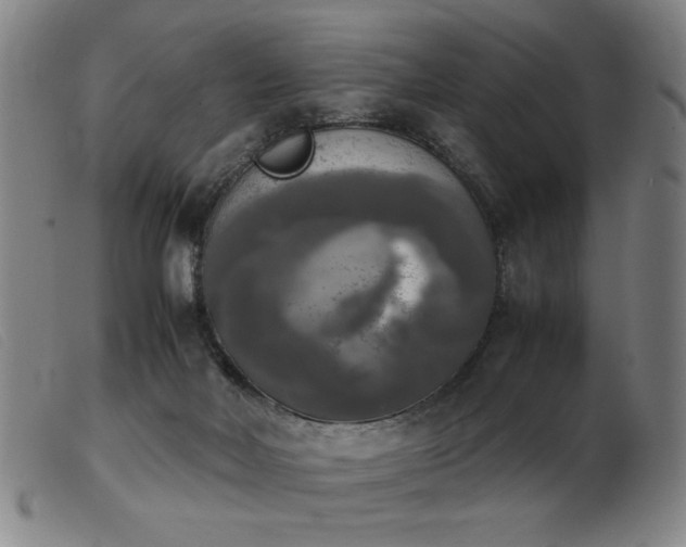 X0000103900026200809191249
