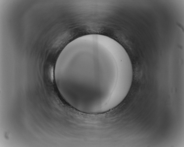 X0000103900027200809191249
