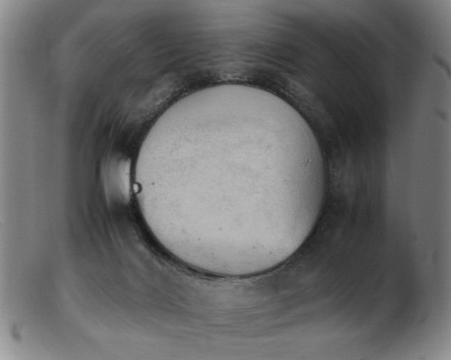 X0000103900028200809191249