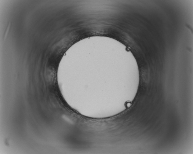 X0000103900029200809191249