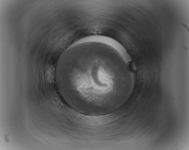 X0000103900030200809191249