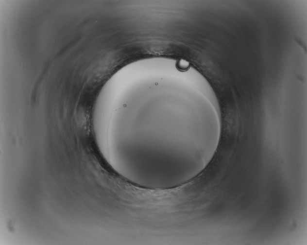 X0000103900031200809191249