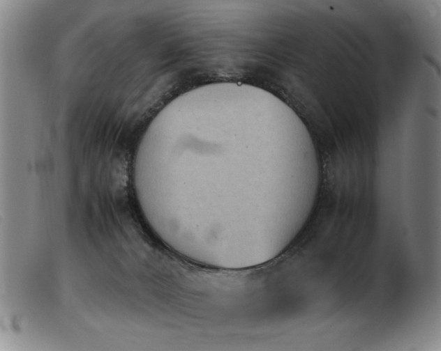 X0000103900032200809191249