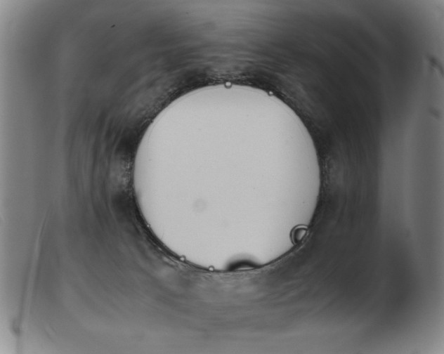 X0000103900033200809191249