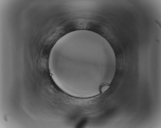X0000103900035200809191249