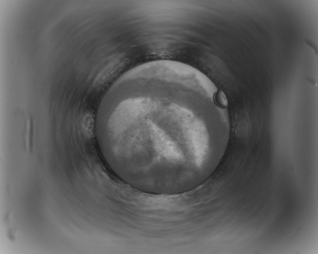 X0000103900036200809191249