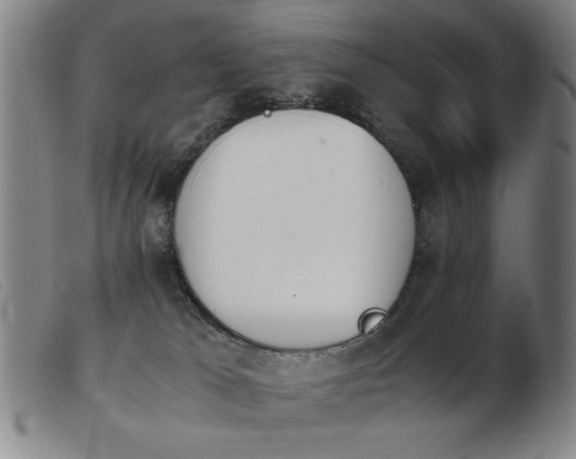 X0000103900037200809191249
