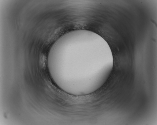 X0000103900038200809191249
