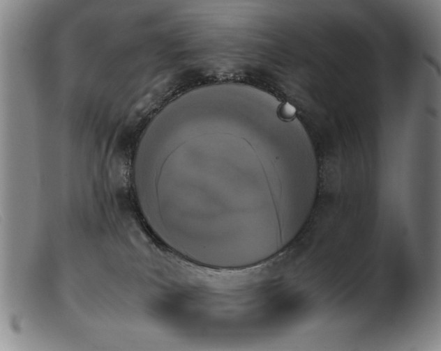 X0000103900039200809191249
